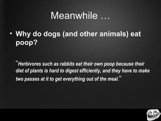 Meanwhile …
• Why do dogs (and other animals) eat
  poop?

 “Herbivores such as rabbits eat their own poop because their
 diet of plants is hard to digest efficiently, and they have to make
 two passes at it to get everything out of the meal. “
 