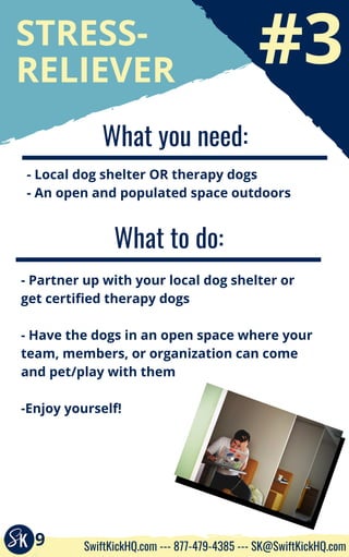 #3
STRESS-
RELIEVER
What you need:
- Local dog shelter OR therapy dogs
- An open and populated space outdoors
What to do:
- Partner up with your local dog shelter or
get certified therapy dogs
- Have the dogs in an open space where your
team, members, or organization can come
and pet/play with them
-Enjoy yourself!
9 SwiftKickHQ.com --- 877-479-4385 --- SK@SwiftKickHQ.com
 