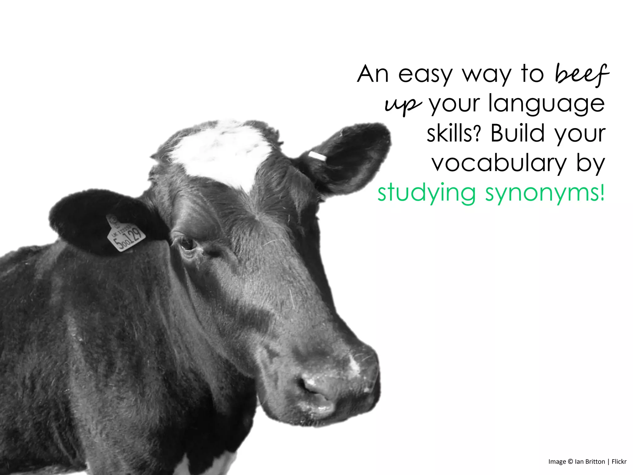 An easy way to beef
up your language
skills? Build your
vocabulary by
studying synonyms!
Image © Ian Britton | Flickr
 