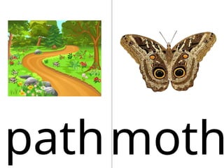pathmoth
 