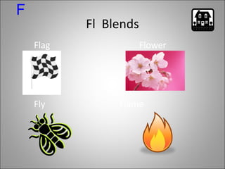 Fl  Blends Flag   Flower Fly   Flame F 