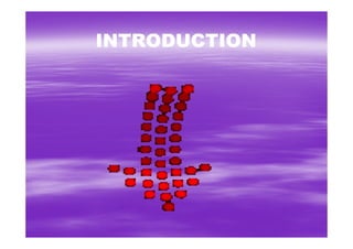 Blendtecs 1 St Project [Compatibility Mode]