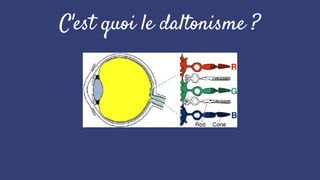 C'est quoi le daltonisme ?
 