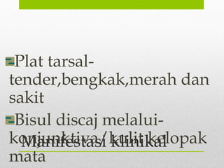 Manifestasi klinikal
Plat tarsal-
tender,bengkak,merah dan
sakit
Bisul discaj melalui-
konjunktiva/kulit kelopak
mata
 
