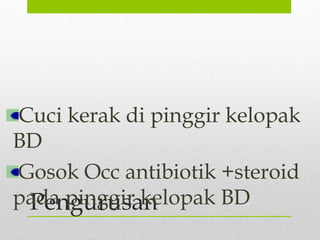 Pengurusan
Cuci kerak di pinggir kelopak
BD
Gosok Occ antibiotik +steroid
pada pinggir kelopak BD
 