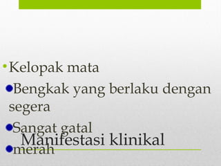 Manifestasi klinikal
•Kelopak mata
Bengkak yang berlaku dengan
segera
Sangat gatal
merah
 