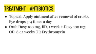 TREATMENT - ANTIBIOTICS
● Topical: Apply ointment after removal of crusts.
Eye drops 3-4 times a day
● Oral: Doxy 100 mg, BD, 1 week + Doxy 100 mg,
OD, 6-12 weeks OR Erythromycin
 
