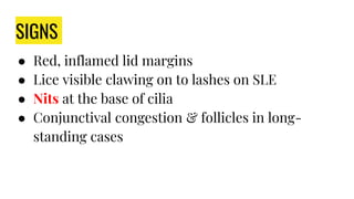 SIGNS
● Red, inflamed lid margins
● Lice visible clawing on to lashes on SLE
● Nits at the base of cilia
● Conjunctival congestion & follicles in long-
standing cases
 