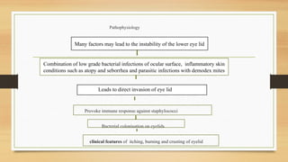 Pathophysiology
Provoke immune response against staphylococci
Bacterial colonisation on eyelids
clinical features of itching, burning and crusting of eyelid
Many factors may lead to the instability of the lower eye lid
Combination of low grade bacterial infections of ocular surface, inflammatory skin
conditions such as atopy and seborrhea and parasitic infections with demodex mites
Leads to direct invasion of eye lid
 