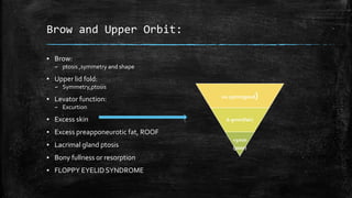 Brow and Upper Orbit:
▪ Brow:
– ptosis ,symmetry and shape
▪ Upper lid fold:
– Symmetry,ptosis
▪ Levator function:
– Excurtion
▪ Excess skin
▪ Excess preapponeurotic fat, ROOF
▪ Lacrimal gland ptosis
▪ Bony fullness or resorption
▪ FLOPPY EYELID SYNDROME
10-15mm(good)
6-9mm(fair)
<5mm
(poor)
 
