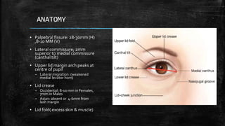 ▪ Palpebral fissure: 28-30mm (H)
,8-10 MM (V)
▪ Lateral commissure; 2mm
superior to medial commissure
(canthal tilt)
▪ Upper lid margin arch peaks at
centre of pupil
– Lateral migration: (weakened
medial levator horn)
▪ Lid crease
– Occidental: 8-10 mm in Females,
7mm in Males
– Asian: absent or 4-6mm from
lash margin
▪ Lid fold( excess skin & muscle)
 