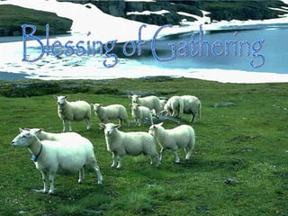 Blessing of Gathering 