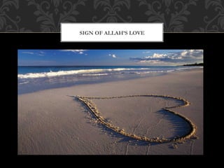 SIGN OF ALLAH’S LOVE
 