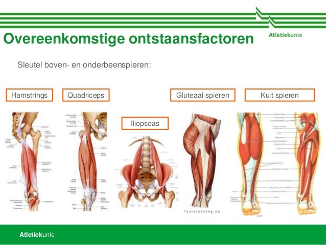 symptomen versleten heup