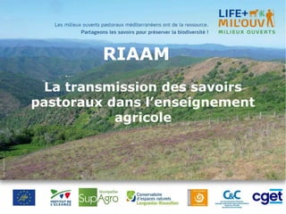 RIAAM
La transmission des savoirs
pastoraux dans l’enseignement
agricole
 