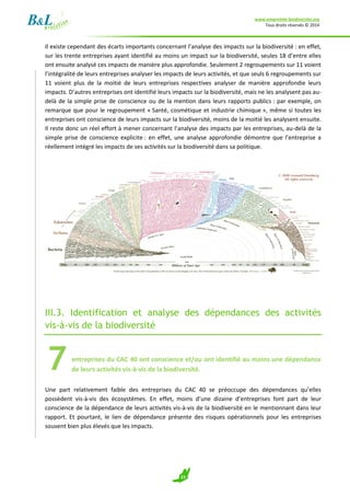 www.empreinte-biodiversite.org
Tous droits réservés © 2014
23
Il existe cependant des écarts importants concernant l’analyse des impacts sur la biodiversité : en effet,
sur les trente entreprises ayant identifié au moins un impact sur la biodiversité, seules 18 d’entre elles
ont ensuite analysé ces impacts de manière plus approfondie. Seulement 2 regroupements sur 11 voient
l’intégralité de leurs entreprises analyser les impacts de leurs activités, et que seuls 6 regroupements sur
11 voient plus de la moitié de leurs entreprises respectives analyser de manière approfondie leurs
impacts. D’autres entreprises ont identifié leurs impacts sur la biodiversité, mais ne les analysent pas au-
delà de la simple prise de conscience ou de la mention dans leurs rapports publics : par exemple, on
remarque que pour le regroupement « Santé, cosmétique et industrie chimique », même si toutes les
entreprises ont conscience de leurs impacts sur la biodiversité, moins de la moitié les analysent ensuite.
Il reste donc un réel effort à mener concernant l’analyse des impacts par les entreprises, au-delà de la
simple prise de conscience explicite : en effet, une analyse approfondie démontre que l’entreprise a
réellement intégré les impacts de ses activités sur la biodiversité dans sa politique.
III.3. Identification et analyse des dépendances des activités
vis-à-vis de la biodiversité
entreprises du CAC 40 ont conscience et/ou ont identifié au moins une dépendance
de leurs activités vis-à-vis de la biodiversité.
Une part relativement faible des entreprises du CAC 40 se préoccupe des dépendances qu’elles
possèdent vis-à-vis des écosystèmes. En effet, moins d’une dizaine d’entreprises font part de leur
conscience de la dépendance de leurs activités vis-à-vis de la biodiversité en le mentionnant dans leur
rapport. Et pourtant, le lien de dépendance présente des risques opérationnels pour les entreprises
souvent bien plus élevés que les impacts.
7
 
