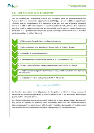 www.empreinte-biodiversite.org
Tous droits réservés © 2014
5
I.2. Etat des lieux de la biodiversité
Cela fait longtemps que l’on a observé un déclin de la biodiversité, causé par les impacts des activités
humaines. Comme le montrent les rapports récents du MEA (qui a produit en 2005 un rapport faisant
l’état des lieux des écosystèmes et de la biodiversité et de leurs liens avec le bien-être humain) ou
encore de la TEEB en 2007 (The Economics of Ecosystems and Biodiversity), l’érosion de la biodiversité
s’accélère et cela se traduit notamment par une diminution à venir du bien-être humain. Nous sommes
entrés dans la 6ème
grande crise d’extinction des espèces vivantes (la dernière ayant causé la disparition
des dinosaures il y a 65 millions d’années).
Figure 1 – Source : rapports MEA & TEEB
La disparition des espèces et de dégradation des écosystèmes a atteint un niveau préoccupant.
L’ensemble des acteurs de la société doit en prendre conscience, que ce soit les citoyens, les institutions
publiques et les entreprises privées.
Les relations existantes entre une entreprise et la biodiversité se situent à deux niveaux : d’une part, il y
a les impacts de l’activité d’une entreprise sur les écosystèmes, mais aussi d’autre part des situations de
dépendance des activités économiques à la biodiversité. Il s’agit donc d’une relation d’interdépendance,
directe et indirecte, qui doit inciter les entreprises à s’engager pour la diversité biologique.
• 60% des services écosystémiques mondiaux sont dégradés
• 20% des récifs de corail de la planète ont disparu et plus de 20% sont dégradés
• 35% de forêts de mangrove ont disparu
• Le prélèvement d’eau dans les fleuves, rivières et lacs a doublé depuis 1960
• 25% de la superficie terrestre est exploitée et erodée par les cultures ou l’élevage
• La moitié des espèces végétales et animales connues aujourd’hui pourraient avoir disparu d’ici
à la fin du siècle
• Le coût de l’érosion de la biodiversité est de 7% du PIB mondial
 