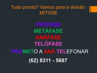 Tudo pronto? Vamos para a divisão:
MITOSE
PRÓFASE
METÁFASE
ANÁFASE
TELÓFASE
PROMETO A ANA TELEFONAR
(62) 8311 - 5687
 