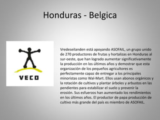 Honduras - Belgica
Vredeseilanden está apoyando ASOFAIL, un grupo unido
de 270 productores de frutas y hortalizas en Honduras al
sur-oeste, que han logrado aumentar significativamente
la producción en los últimos años y demostrar que esta
organización de los pequeños agricultores es
perfectamente capaz de entregar a los principales
minoristas como Wal-Mart. Ellos usan abonos orgánicos y
la rotación de cultivos y plantar árboles y arbustos en las
pendientes para estabilizar el suelo y prevenir la
erosión. Sus esfuerzos han aumentado los rendimientos
en los últimos años. El productor de papa producción de
cultivo más grande del país es miembro de ASOFAIL.
 
