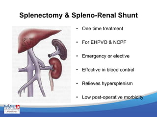 Splenectomy & Spleno-Renal Shunt
• One time treatment
• For EHPVO & NCPF
• Emergency or elective
• Effective in bleed control
• Relieves hypersplenism
• Low post-operative morbidity
 