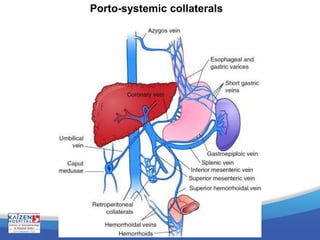 Porto-systemic collaterals
 