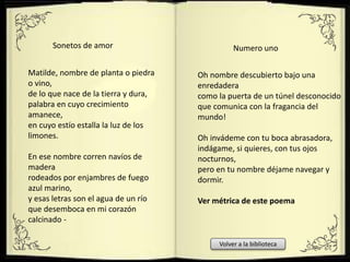 Matilde, nombre de planta o piedra
o vino,
de lo que nace de la tierra y dura,
palabra en cuyo crecimiento
amanece,
en cuyo estío estalla la luz de los
limones.
En ese nombre corren navíos de
madera
rodeados por enjambres de fuego
azul marino,
y esas letras son el agua de un río
que desemboca en mi corazón
calcinado -
Oh nombre descubierto bajo una
enredadera
como la puerta de un túnel desconocido
que comunica con la fragancia del
mundo!
Oh invádeme con tu boca abrasadora,
indágame, si quieres, con tus ojos
nocturnos,
pero en tu nombre déjame navegar y
dormir.
Ver métrica de este poema
Sonetos de amor Numero uno
Volver a la biblioteca
 