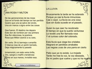 UNA ROSA Y MILTON
De las generaciones de las rosas
Que en el fondo del tiempo se han perdido
Quiero que una se salve del olvido,
Una sin marca o signo entre las cosas
Que fueron. El destino me depara
Este don de nombrar por vez primera
Esa flor silenciosa, la postrera
Rosa que Milton acercó a su cara,
Sin verla. Oh tú bermeja o amarilla
O blanca rosa de un jardín borrado,
Deja mágicamente tu pasado
Inmemorial y en este verso brilla,
Oro, sangre o marfil o tenebrosa
Como en sus manos, invisible rosa.
LA LLUVIA
Bruscamente la tarde se ha aclarado
Porque ya cae la lluvia minuciosa.
Cae o cayó. La lluvia es una cosa
Que sin duda sucede en el pasado.
Quien la oye caer ha recobrado
El tiempo en que la suerte venturosa
Le reveló una flor llamada rosa
Y el curioso color del colorado.
Esta lluvia que ciega los cristales
Alegrará en perdidos arrabales
Las negras uvas de una parra en cierto
Patio que ya no existe. La mojada
Tarde me trae la voz, la voz deseada,
De mi padre que vuelve y que no ha muerto.
Volver a la biblioteca
 