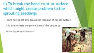 ii) To break the hand crust at surface
which might create problem to the
sprouting seedlings
 Blind hoeing not only breaks the hard pan of the soil surface
it is also increase the germination of the sprouts by
increasing respiration rate.
 