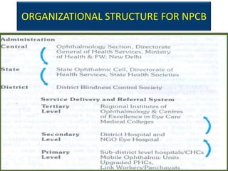ORGANIZATIONAL STRUCTURE FOR NPCB
 