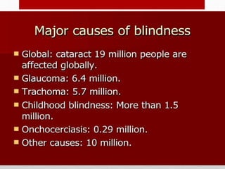 Blindness Lecture