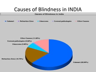 Comprehensive Overview of Blindness and Low Vision in India: Causes ...