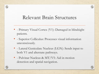 Blindsight Project Blindsight_Neurobiology_Project_edited.pptx