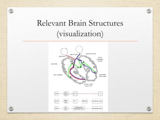 Blindsight Project Blindsight_Neurobiology_Project_edited.pptx