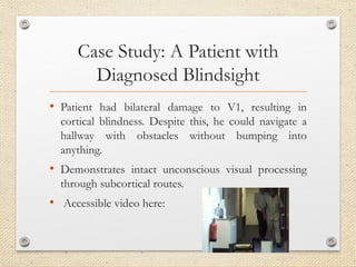 Blindsight_Neurobiology_Project_edited.pptx