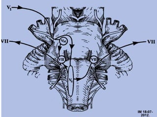 IM 18-07-
    12
  2012.
 