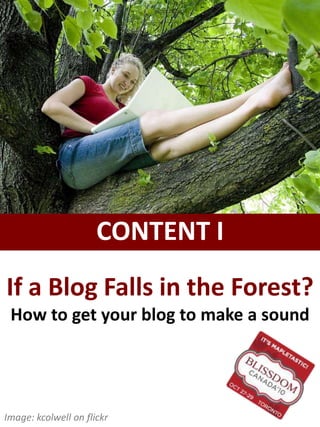 If a Blog Falls in the Forest?
How to get your blog to make a sound
CONTENT I
Image: kcolwell on flickr
 