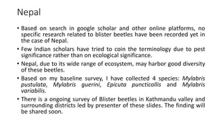 Nepal
• Based on search in google scholar and other online platforms, no
specific research related to blister beetles have been recorded yet in
the case of Nepal.
• Few Indian scholars have tried to coin the terminology due to pest
significance rather than on ecological significance.
• Nepal, due to its wide range of ecosystem, may harbor good diversity
of these beetles.
• Based on my baseline survey, I have collected 4 species: Mylabris
pustulata, Mylabris guerini, Epicuta puncticollis and Mylabris
variabilis.
• There is a ongoing survey of Blister beetles in Kathmandu valley and
surrounding districts led by presenter of these slides. The finding will
be shared soon.
 
