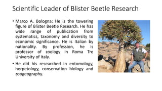 Scientific Leader of Blister Beetle Research
• Marco A. Bologna: He is the towering
figure of Blister Beetle Research. He has
wide range of publication from
systematics, taxonomy and diversity to
economic significance. He is Italian by
nationality. By profession, he is
professor of zoology in Roma Tre
University of Italy.
• He did his researched in entomology,
herpetology, conservation biology and
zoogeography.
 