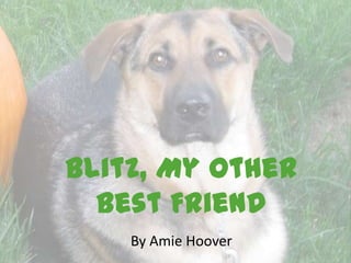 Blitz, My Other
Best Friend
By Amie Hoover

 