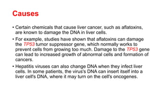 Causes
• Certain chemicals that cause liver cancer, such as aflatoxins,
are known to damage the DNA in liver cells.
• For example, studies have shown that aflatoxins can damage
the TP53 tumor suppressor gene, which normally works to
prevent cells from growing too much. Damage to the TP53 gene
can lead to increased growth of abnormal cells and formation of
cancers.
• Hepatitis viruses can also change DNA when they infect liver
cells. In some patients, the virus's DNA can insert itself into a
liver cell's DNA, where it may turn on the cell's oncogenes.
 