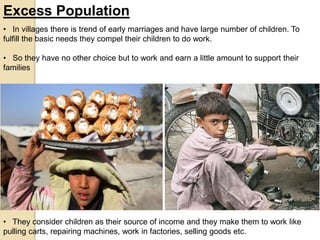 Excess Population
• In villages there is trend of early marriages and have large number of children. To
fulfill the basic needs they compel their children to do work.
• So they have no other choice but to work and earn a little amount to support their
families
• They consider children as their source of income and they make them to work like
pulling carts, repairing machines, work in factories, selling goods etc.
 