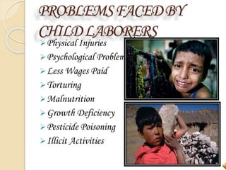 PROBLEMSFACEDBY
CHILDLABORERS
Physical Injuries
Psychological Problems
Less Wages Paid
Torturing
Malnutrition
Growth Deficiency
Pesticide Poisoning
Illicit Activities
 