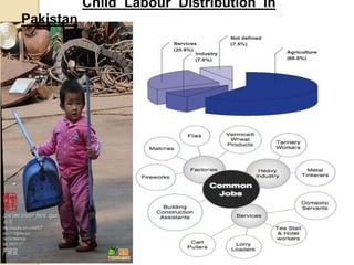 Child Labour Distribution in
Pakistan
 