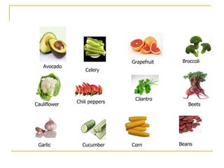 Avocado Celery Broccoli Chili peppers Cilantro Beets Garlic Cucumber Corn Beans Grapefruit Cauliflower 