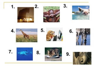 1. 2. 3. 4. 5. 6. 7. 8. 9. 