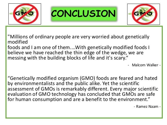 Disadvantages to genetically modified foods