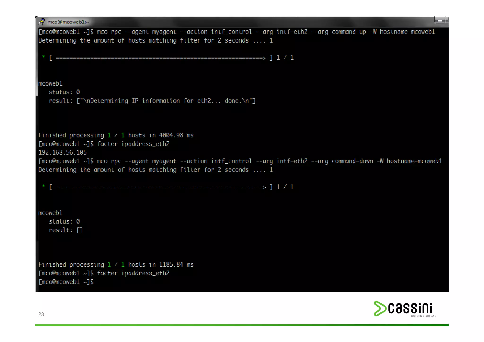 Backup // DEMO




28
 