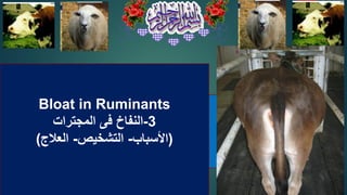 Bloat in Ruminants
3
-
‫المجترات‬ ‫فى‬ ‫النفاخ‬
(
‫األسباب‬
-
‫التشخيص‬
-
‫العالج‬
)
 