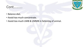 Cont……….
• Balance diet.
• Avoid too much concentrate.
• Avoid too much UMB & UMMB in fattening of animal.
 
