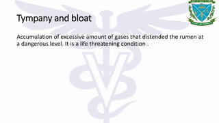 Tympany and bloat
Accumulation of excessive amount of gases that distended the rumen at
a dangerous level. It is a life threatening condition .
 